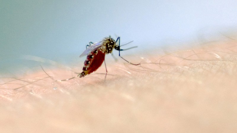 Cruzeiro do Sul confirma primeiro caso de Dengue