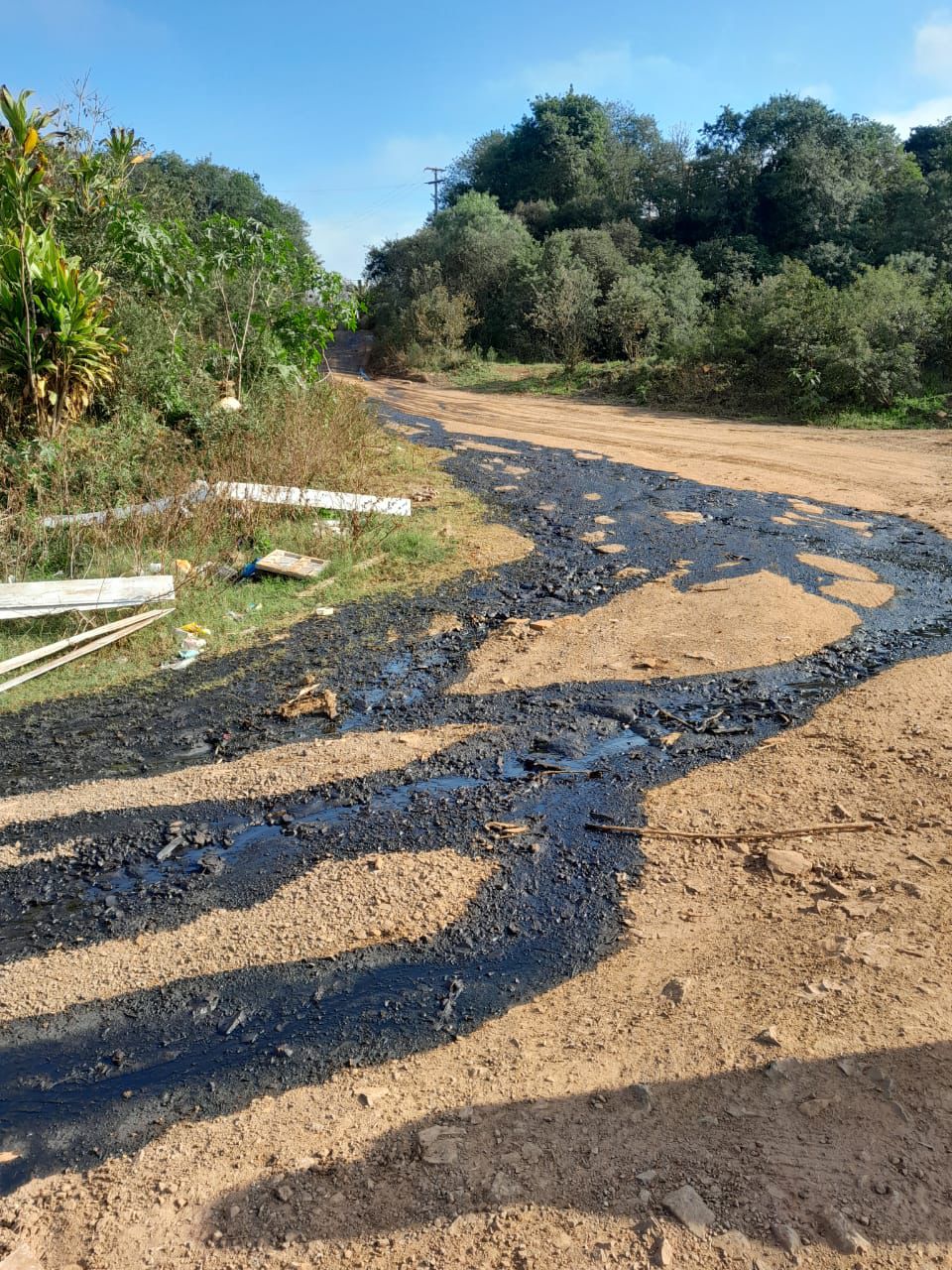 Foto: Departamento do Meio Ambiente