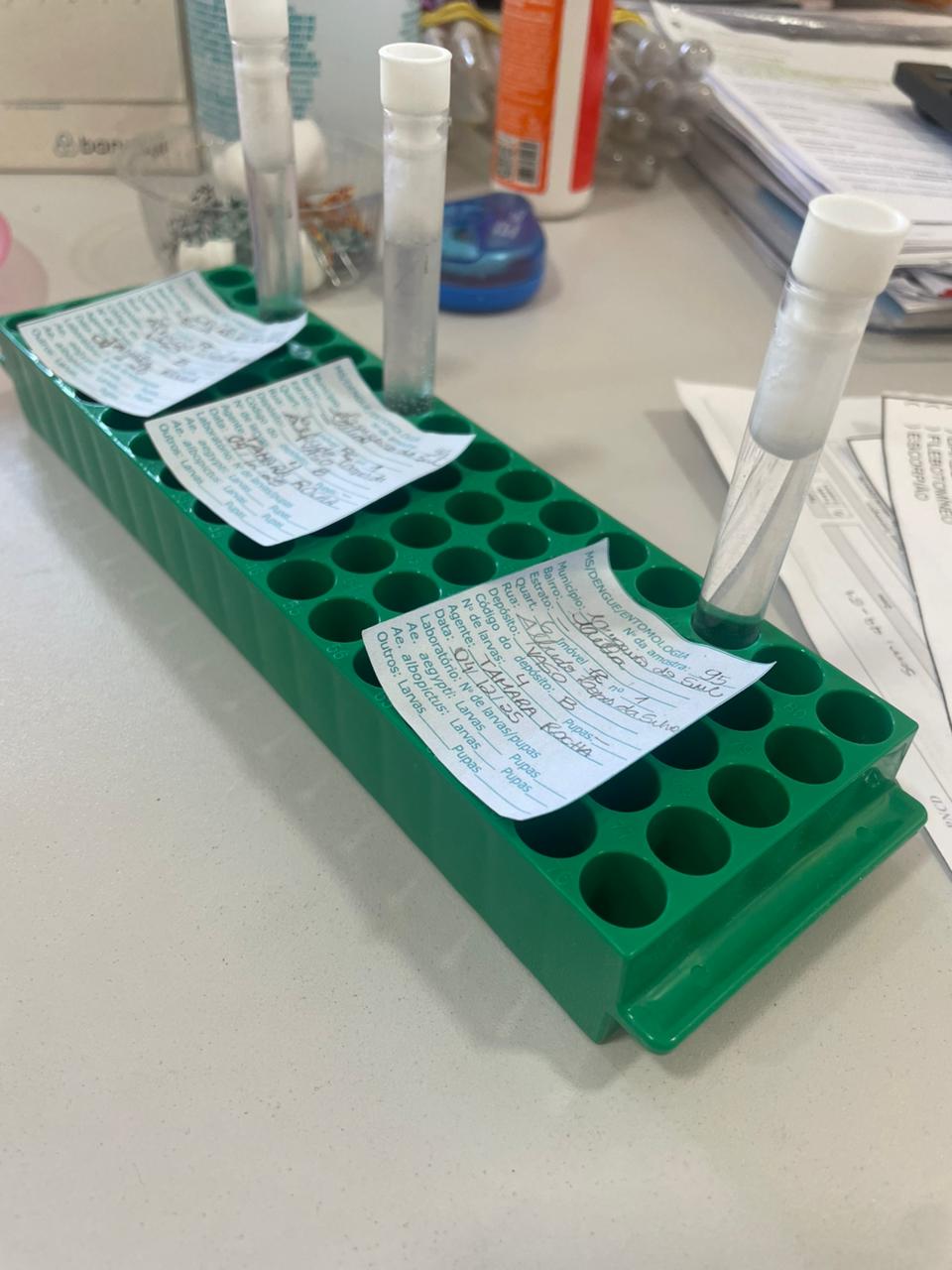 Fotos: Vigilância Ambiental