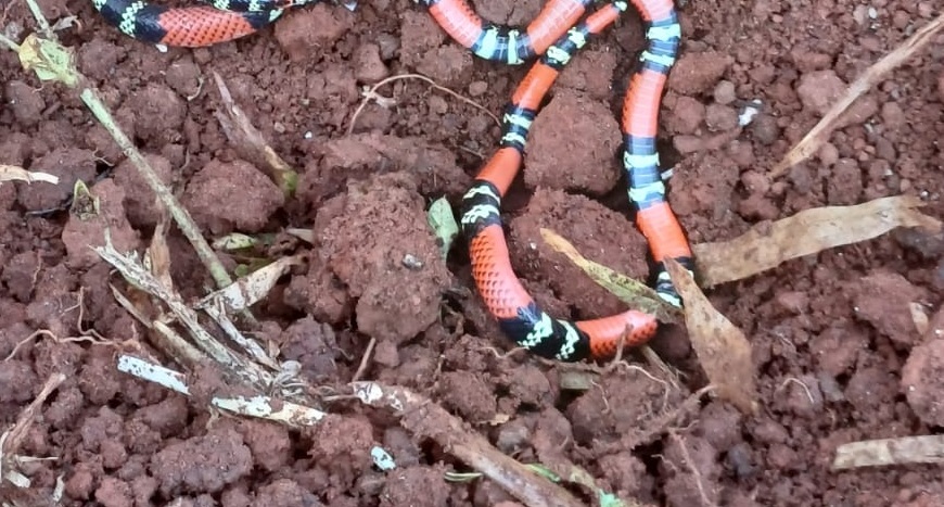 Foto: Secretaria de Obras