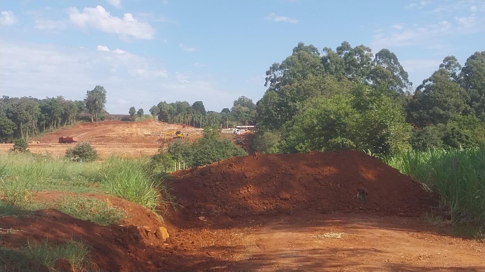 schardong2 Fotos: Divulgação