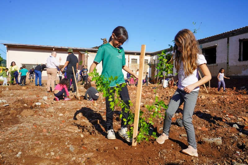 Plantio de mudas marca transformação de área atingida por enchente em Cruzeiro do Sul